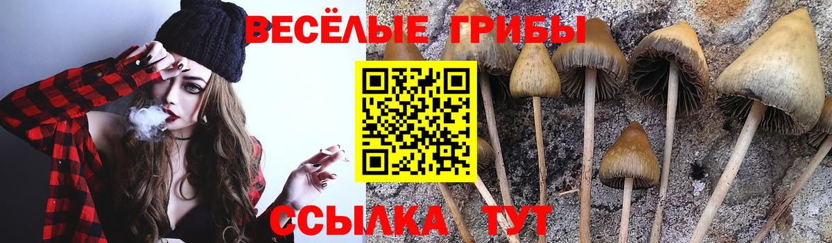 Псилоцибиновые грибы GOLDEN TEACHER  Вход с VPN  Ковров 
